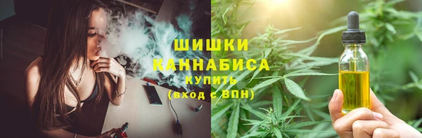PSILOCYBIN Беломорск
