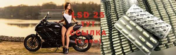 PSILOCYBIN Беломорск
