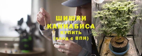 PSILOCYBIN Беломорск