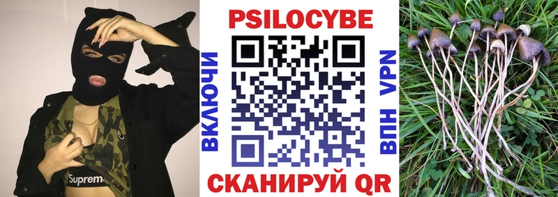 Галлюциногенные грибы GOLDEN TEACHER  закладка  МЕГА ссылки  это наркотические препараты  Кстово 