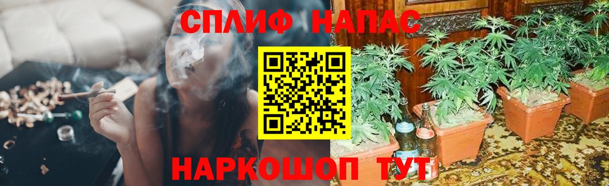 Бошки марихуана ГИДРОПОН  Бошки марихуана Bruce Banner  Кстово  Вход с VPN 